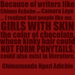 stories-yet-to-be-written:  Quotes by Chimamanda