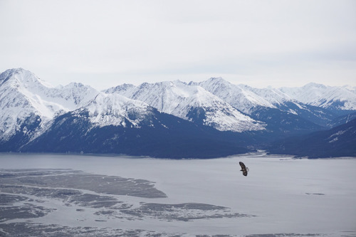 Bird Point IChugach Natl Forest, AK