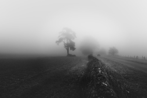 frederick-ardley: Sun - Fog - Sun - FogPhotographed by Frederick ArdleyFollow on Instagram @frederic