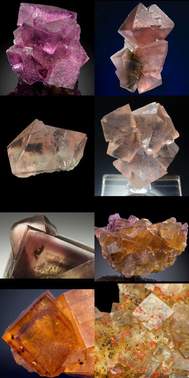 hematitehearts:  Fluorite all the colours of the rainbow!Requested by micanificent
