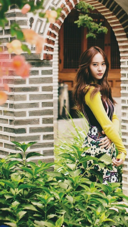 Krystal ☆ f(x)