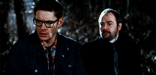 frozen-delight: 12x15 | Somewhere Between Heaven and Hell  