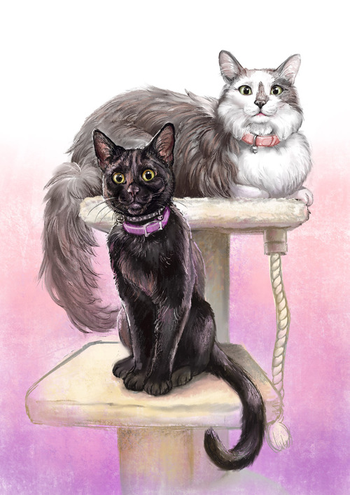 risachantag: Wednesday &amp; Matilda kitty portrait for tman72999, loved painting these two with