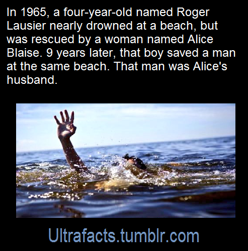 ultrafacts: Source: [x] Follow Ultrafacts for more facts! 