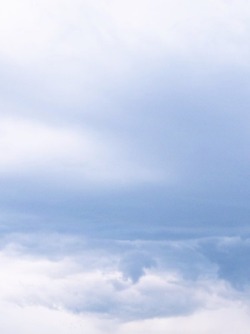 lavendervalar: D277/365 // May 3credit🌙