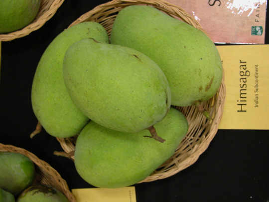 Himsagar (হিমসাগর)