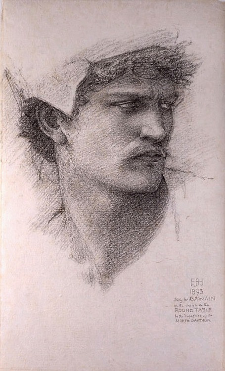 hadrian6:  The Summons : Study for the Head of Gawain. 1893. Sir Edward Burne Jones British 1833-1898. crayon on paper.   http://hadrian6.tumblr.com