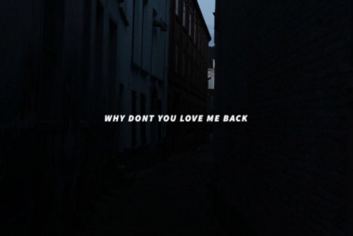 Foxing // Rory