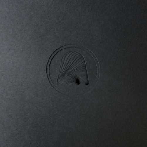 Sculpture by Matt Shlian. (via sculpture) More black here.