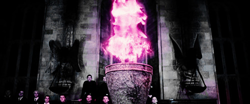 hermiionegrangers:  Harry Potter and the … 
