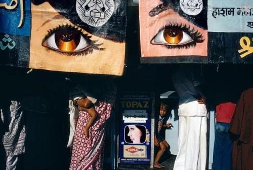 untrustyou:Alex Webb