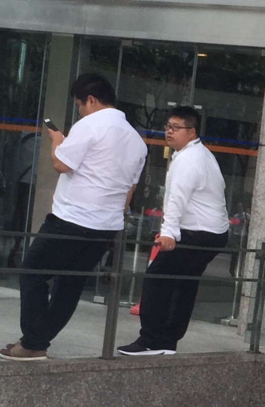 CN bear in Public 熊