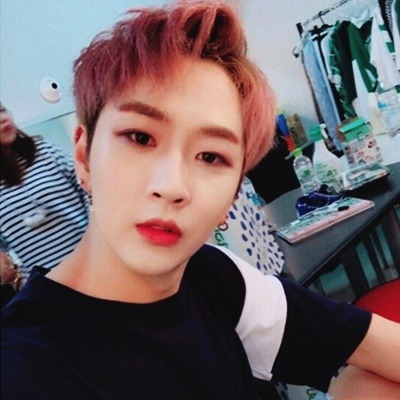 PARK SHINWOO ICONS 