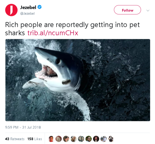 star-anise:gahdamnpunk:Sharks will now help us EAT THE RICHTwo years ago I would have called this ov