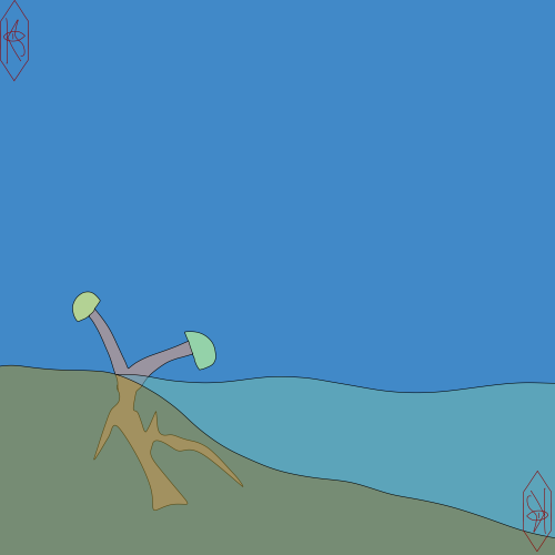 Moriatili, Commonly Called A Duo Head, Are Semiaquatic Fungi, Theyve Evolved Two Heads, One Pointing