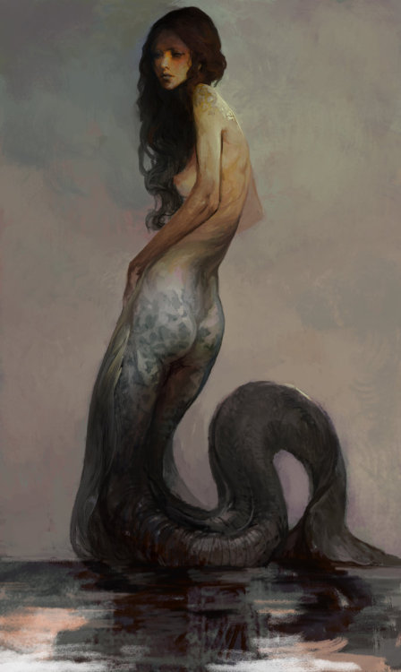 lohrien:  Illustrations by hoooook