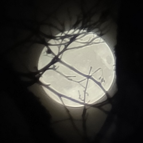 There Are Only Bloody Faerytales. The Origins Of Every Faerytale Are Steeped In Blood And Fear.