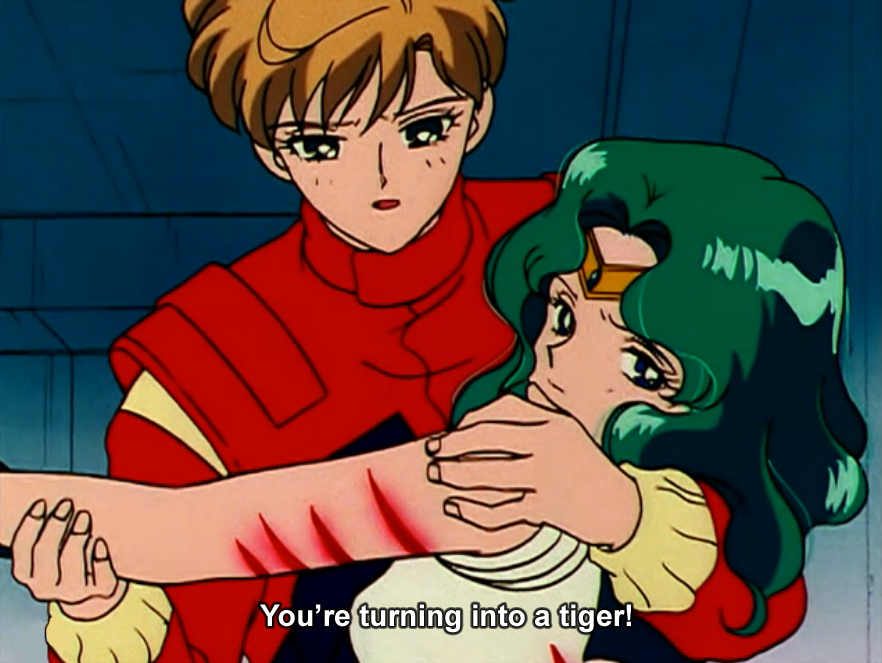 sailormoonsub:  my life goal is to have enough people mistake these as genuine subtitles