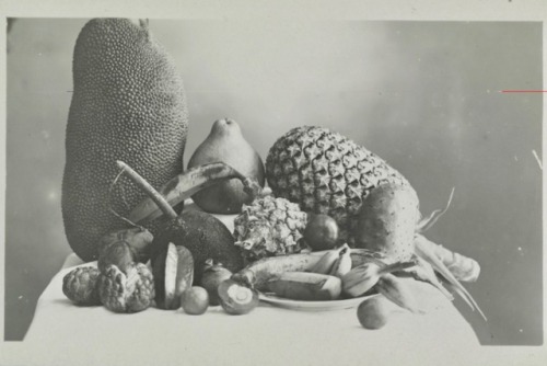 Sans titre [fruits], Carte postale Borneoanonyme 1900-1950Musée de l'Homme - Photothèque 