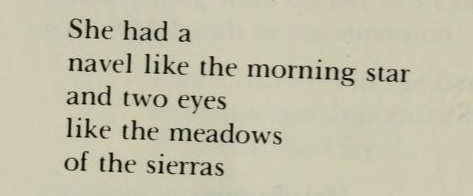 Etel Adnan, from ‘Love Poems’, Women of the Fertile Crescent: An Anthology of Modern Poetry by Arab 