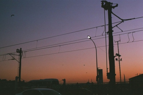 buttorfleogee:  “Lost in places i thought was home”