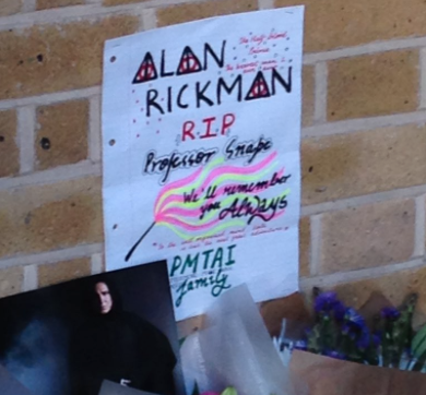 micdotcom:  If you weren’t sad enough — on Friday, Alan Rickman’s fans started
