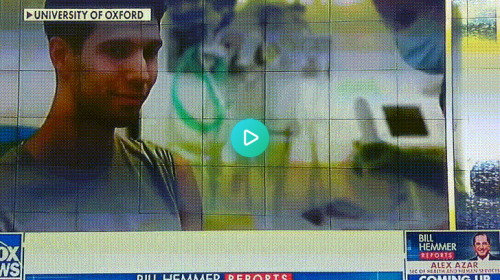 trendingfunnygifs