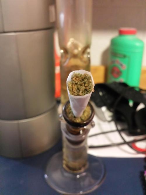 sex-weedandalcohol:  Timebombs are the best. 
