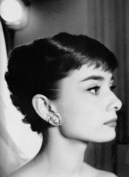 rareaudreyhepburn - Audrey Hepburn at a photo shoot with...