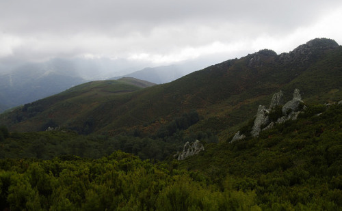 Rolling hills of Castagniccia by Gregor Samsa on Flickr.