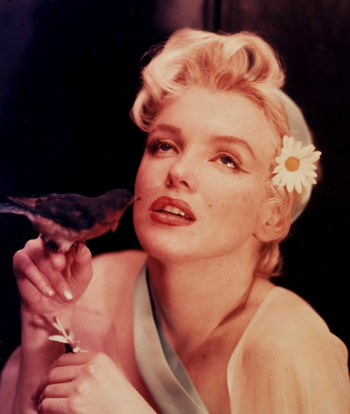 retrogasm:  Marilyn