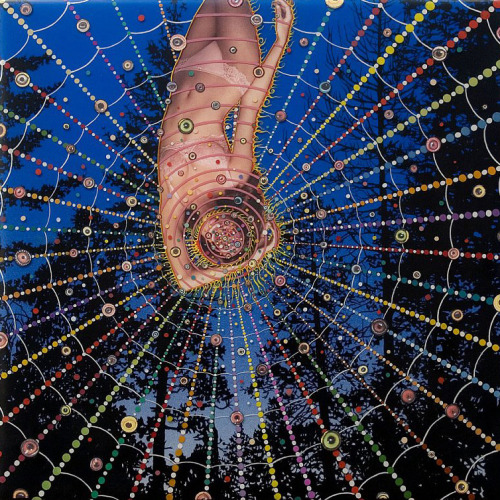 myampgoesto11: Intricate collage art by Fred Tomaselli  Fred Tomaselli makes exquisit