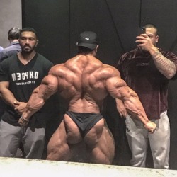 Roelly Winklaar - Three weeks out to Olympia 2017 with his body looking like something out of Lovecraft&rsquo;s nightmares from the back.