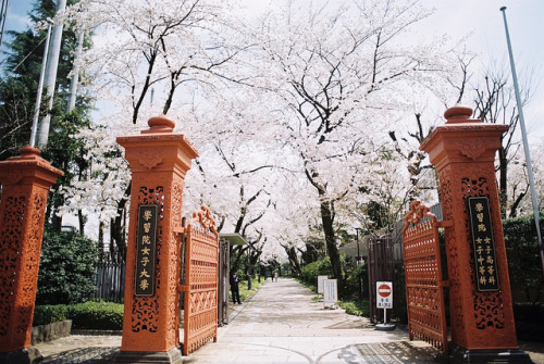yukku-ri:學習院 by graffitiguys on Flickr.