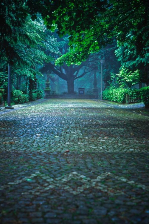 bluepueblo:  Cobblestone Street, Braga, Portugal photo via tiia 