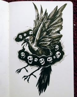 kf-tea:Inktober day 17! I drew some crows speaking in skulls a few years ago and I saw it making the rounds again today. It’s my most popular piece I’ve shared, and it was a super proud moment for me. But that was 2014, and I’ve improved since then.