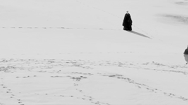Portrait Of A Lady On Fire (2019) Dir. Cline Sciamma In Solitude, I Felt The Liberty You Spoke Of. But
