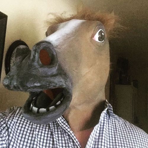 Why the long face? #horsesofinstagram #horse #horsemask #halloween