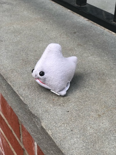 wizard-email:sarcasticmudkip:sarcasticmudkip:sarcasticmudkip:sarcasticmudkip:sarcasticmudkip:sarcasticmudkip:sarcasticmudkip:sarcasticmudkip:sarcasticmudkip:hooooly fucking shit I founds the most shark plush ever like you all cannot even be prePAREDlike