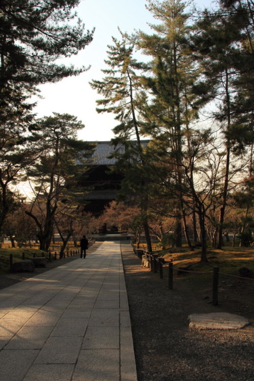 tsukimi-vision: 南禅寺 湯豆腐ｸｲﾀｲ！