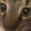 s0phth3sm3llyg1rl