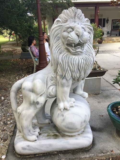 Photos from the White Sands Buddhist Center in Florida. A very peaceful place. One pillar had inscri