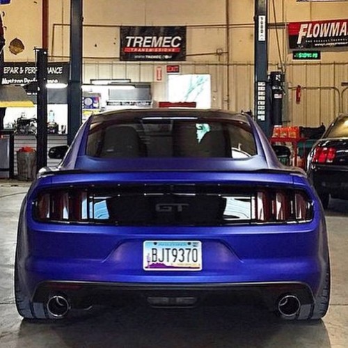 Sex musclefords:  @igfords #ford#Mustang#SVT pictures