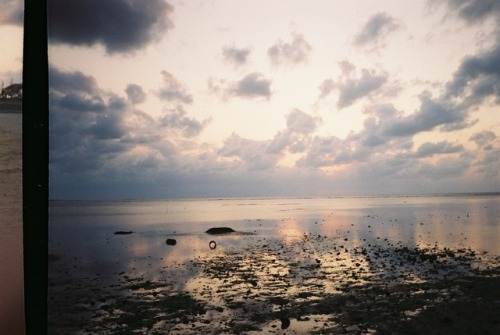 ssagustin:
“low tide.
”