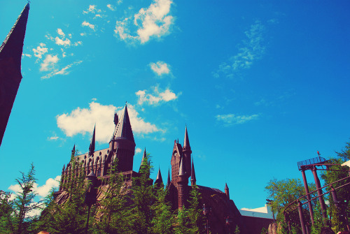 intoasylum:  The Wizarding World of Harry Potter | September 2010 