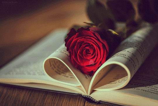 cecb1f3eb72b73f0b2bd3c135c629222dbaca2f4