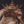 thequeenofsunflowers:  This is the Magical 11/11 &amp; 11:11 Post May you receive