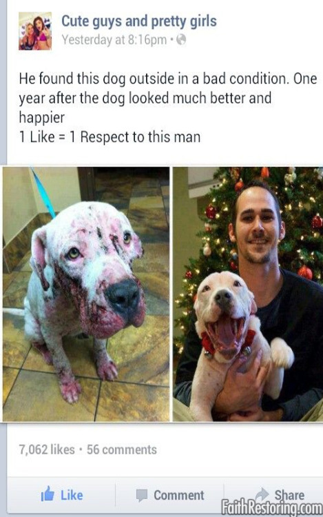 faithrestoring:  Faith in Humanity Restored