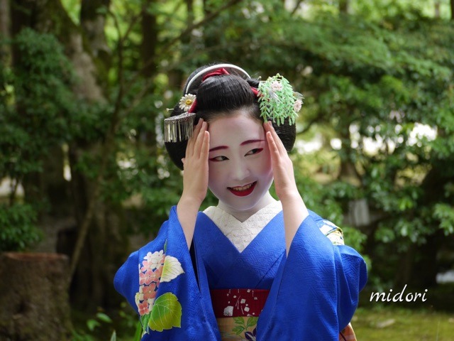 geisha-kai:  June 2016: maiko Shouko of Gion Kobu by Midori - blog