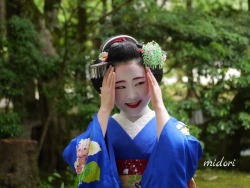 geisha-kai:  June 2016: maiko Shouko of Gion Kobu by Midori - blog